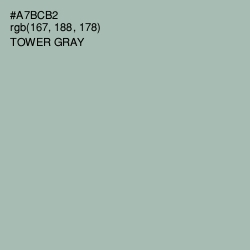 #A7BCB2 - Tower Gray Color Image